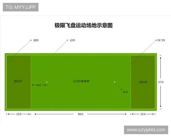 深圳飞盘队的阵地战策略与战术解析探讨飞盘运动的未来发展潜力
