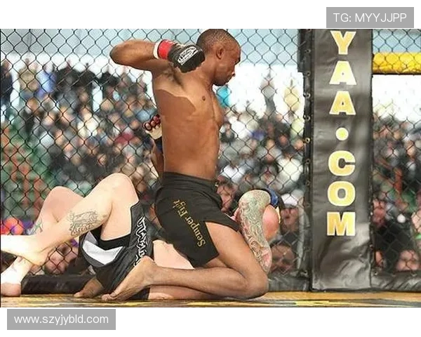 UFC小麻与金东炫巅峰对决谁将成为新一代格斗之王