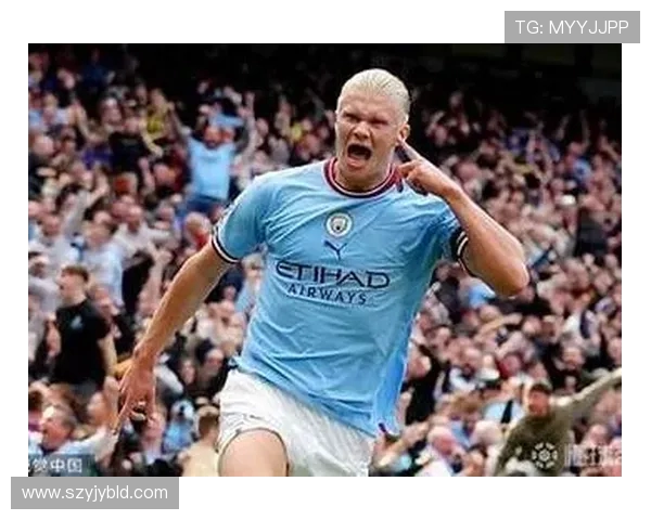 哈兰德：从足球新星到世界顶级前锋的辉煌之路分析