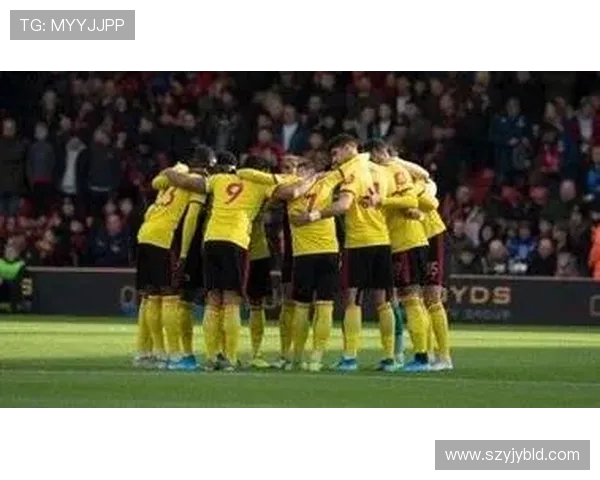 斯托克城主场迎战伯明翰期待精彩对决与进球盛宴