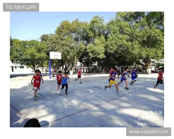 与刘芳畅谈篮球生涯的点滴与梦想探索