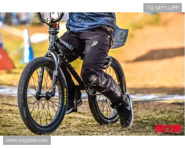 南京极限运动队在极限运动比赛中创下新高经验排名引发关注